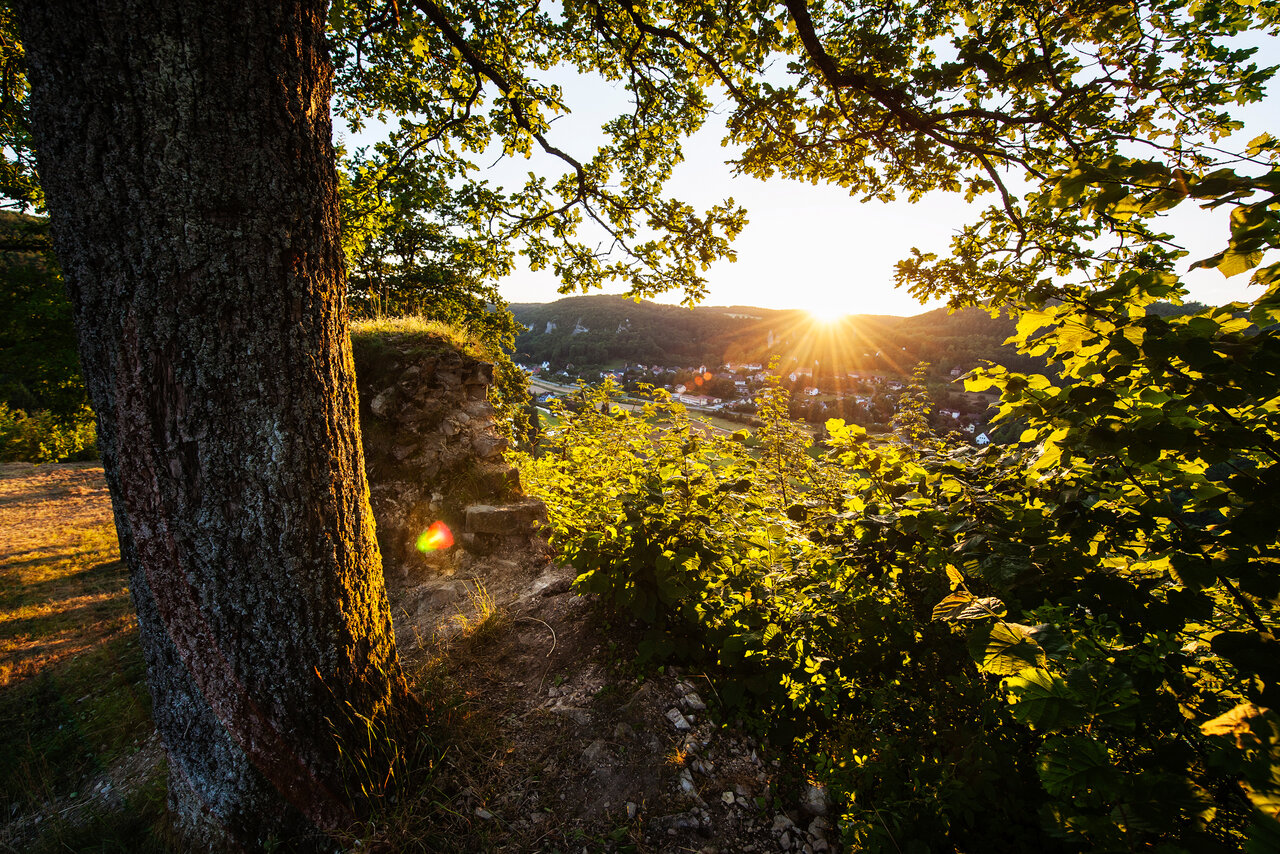 Ein alter Baum, durch dessen belaubte Äste der Blick auf ein Dorf freigegeben wird. Im Hintergrund geht die Sonne unter.
