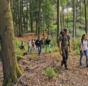 Mehrere Wanderer laufen über braunes Laub durch einen Wald.