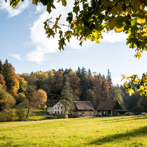 Ein Bauernhaus und zwei Scheunen wird vom bunt gefärbten Wald eingerahmt. Im Vordergrund ist eine grüne Wiese.