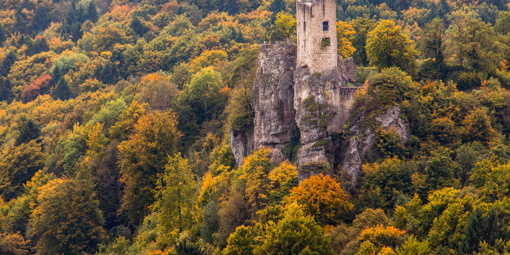 In einem herbst-bunten Blätterwald erhebt sich der Turm einer Ruine.