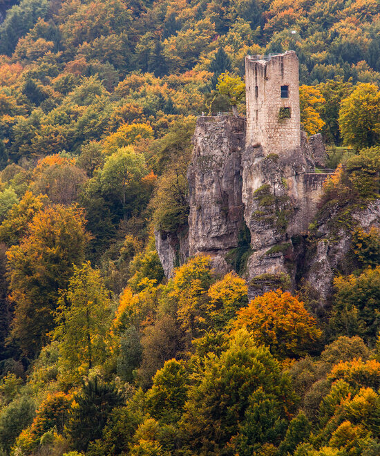 In einem herbst-bunten Blätterwald erhebt sich der Turm einer Ruine.