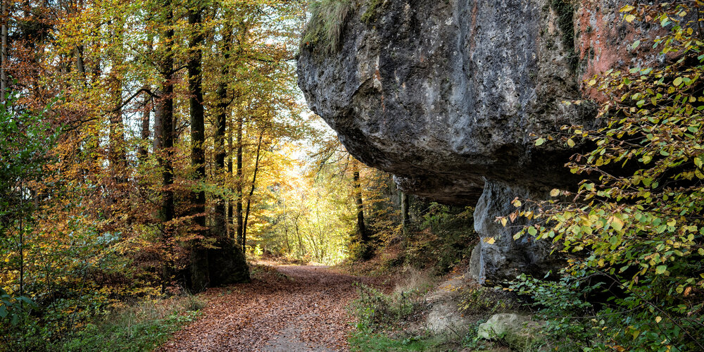 Ein Schotterweg durch einen herbstlichen Wald, der an einem massiven Felsbrocken vorbeiführt.